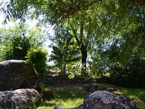 Camping Al-Bereka - Camping Salamanque - Image N°13
