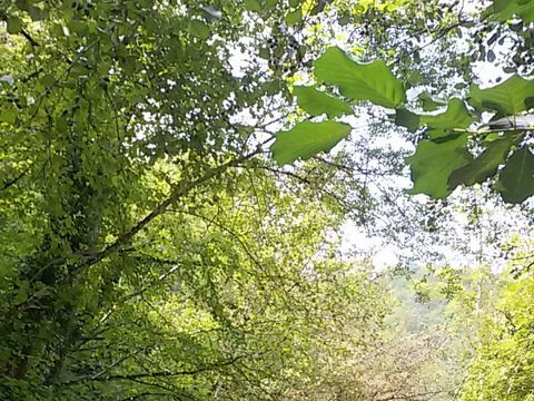 Le Sorgenti Camping Relax - Camping Florence - Image N°15