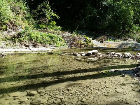 Le Sorgenti Camping Relax - Camping Florence - Image N°6