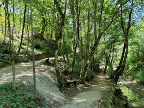 Le Sorgenti Camping Relax - Camping Florence - Image N°12