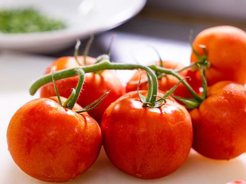 Residence Mare Pineta - Camping Ravenne - Image N°54