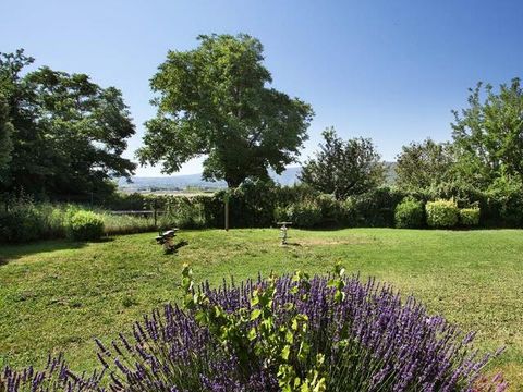 Résidence Odalys Essentielle Les 4 Soleils Résidence Odalys Essentielle Les 4 Soleils - Camping Vaucluse - Image N°5