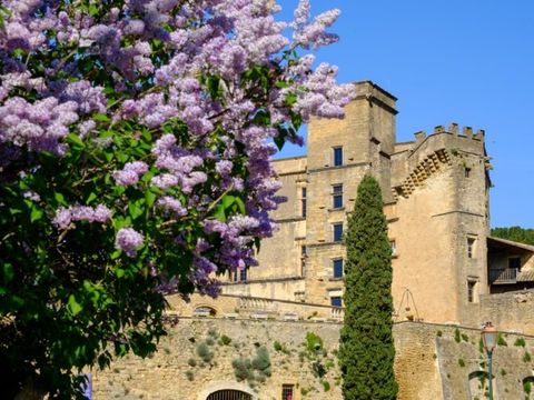 Résidence Odalys Essentielle Les 4 Soleils Résidence Odalys Essentielle Les 4 Soleils - Camping Vaucluse - Image N°16