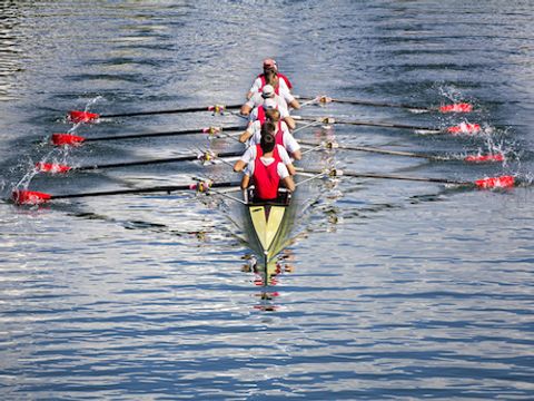 Résidence Odalys Essentielle Les 4 Soleils Résidence Odalys Essentielle Les 4 Soleils - Camping Vaucluse - Image N°23