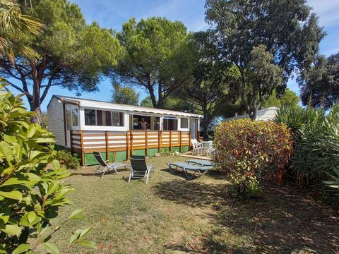 MOBILHOME 8 personnes - 3 chambres 2 salles d'eau - Lattes MH LUMI 302