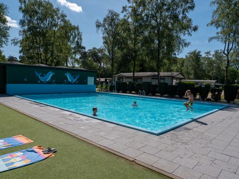 Camping de Wrange - Camping Doetinchem - Image N°2