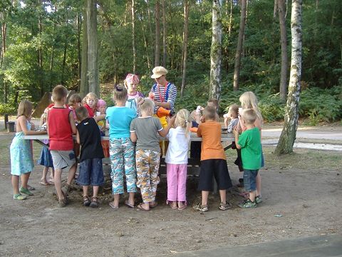 Camping de Wrange - Camping Doetinchem - Image N°20