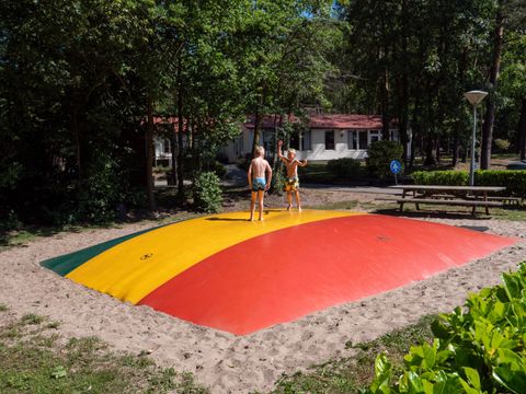 Camping de Wrange - Camping Doetinchem - Image N°6