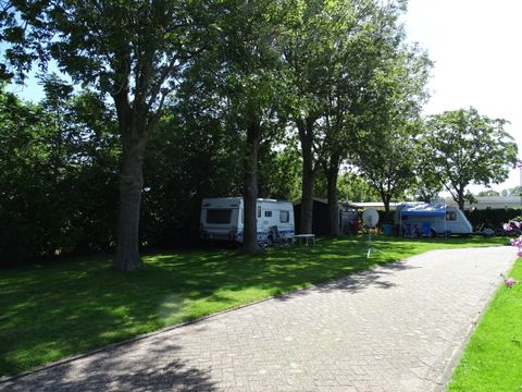 Camping de Hof van Eeden - Camping Leiden - Image N°42