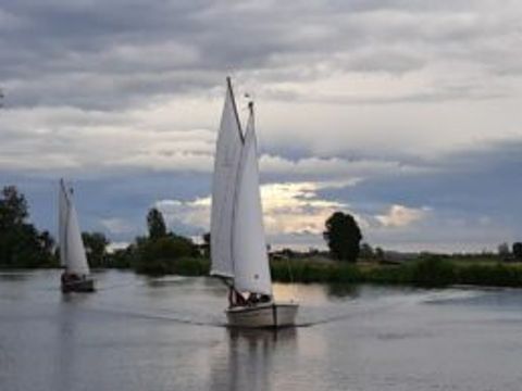 Camping de Hof van Eeden - Camping Leiden - Image N°43