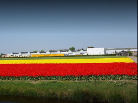 Camping de Hof van Eeden - Camping Leiden - Image N°24