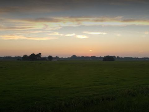 Camping de Hof van Eeden - Camping Leiden - Image N°37
