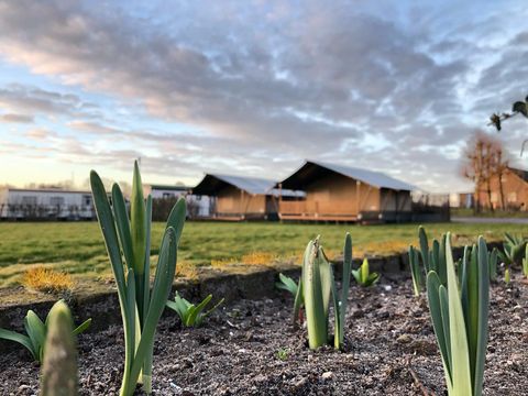 Camping de Hof van Eeden - Camping Leiden - Image N°16