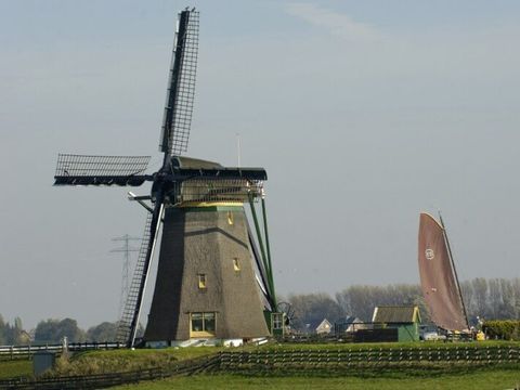 Camping de Hof van Eeden - Camping Leiden - Image N°41