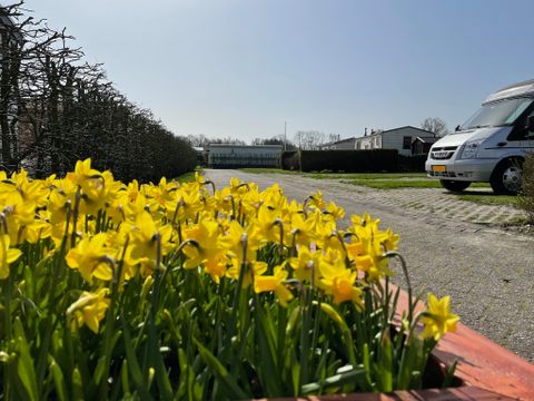 Camping de Hof van Eeden - Camping Leiden - Image N°17