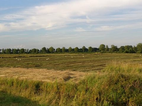 Recreatiepark Westerkwartier - Camping Westerkwartier - Image N°18