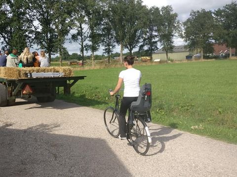 Recreatiepark Westerkwartier - Camping Westerkwartier - Image N°24