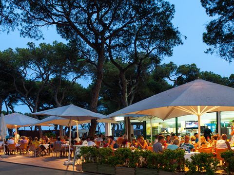 Camping El Pinar  - Camping Gérone - Image N°16