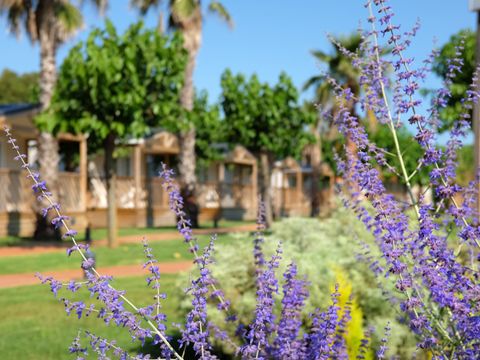 Camping El Pinar  - Camping Gérone - Image N°26