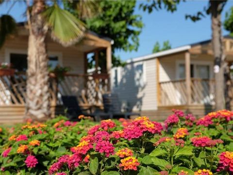 Camping El Pinar  - Camping Gérone - Image N°20