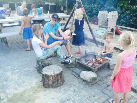 Camping Emmen - Camping Emmen - Image N°8