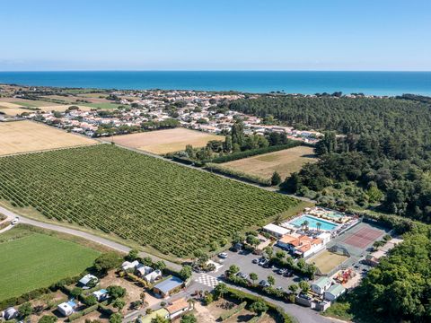 Camping Romanée - le Cormoran - Camping Charente-Maritime - Image N°36