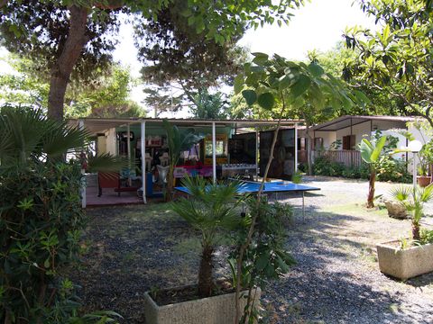Camping La Focetta Sicula - Camping Messine - Image N°12
