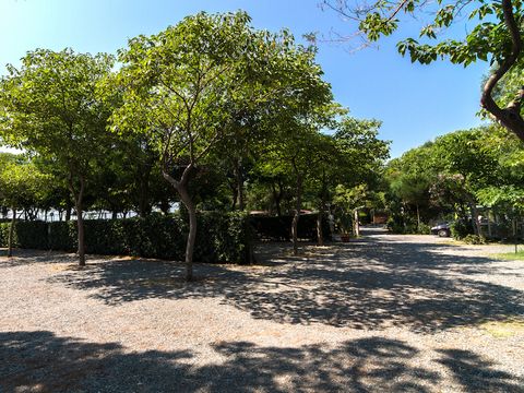 Camping La Focetta Sicula - Camping Messine - Image N°26