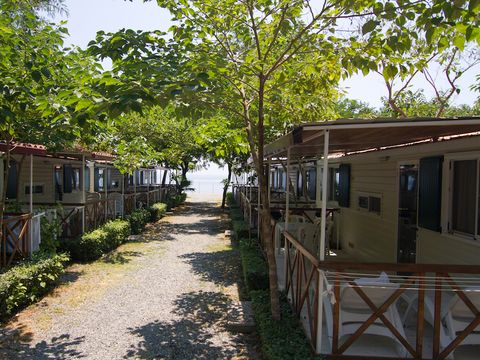 Camping La Focetta Sicula - Camping Messine - Image N°28