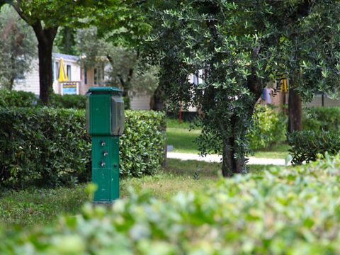 Emplacement - Emplacement A + véhicule + électricité 6A + Evacuation eau 60 m²