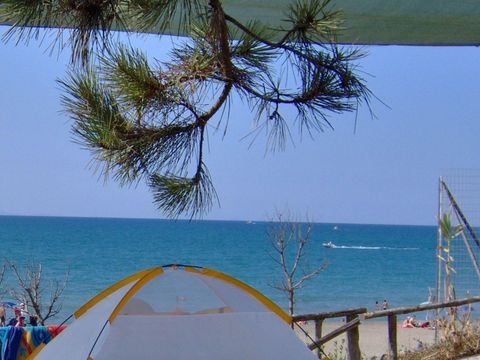Emplacement - Canadese