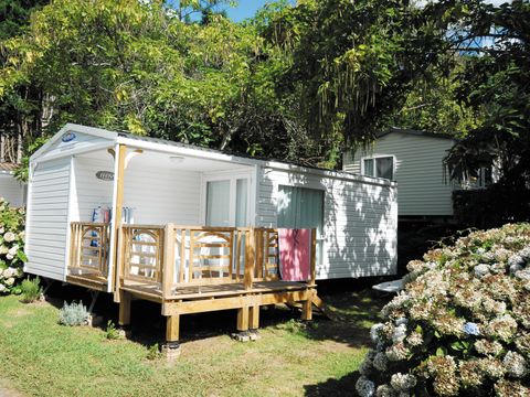 MOBILHOME 4 personnes - ATLANTIK (2MO)
