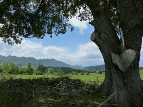Camping Colombres - Camping Asturies - Image N°12