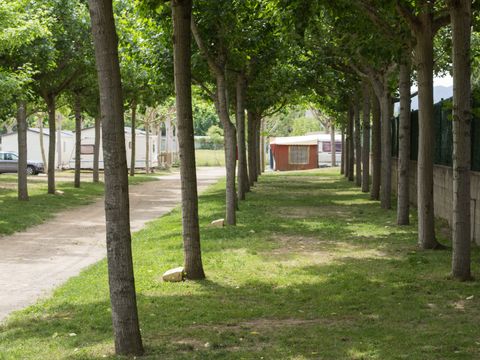 Camping El Llac  - Camping Gérone - Image N°12