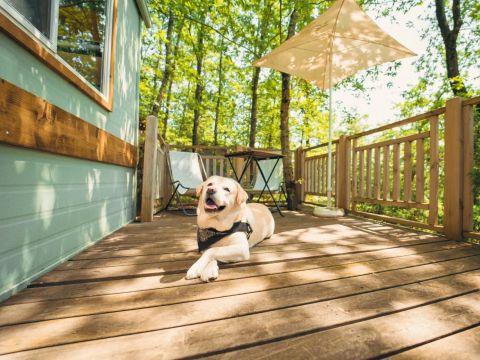 MOBILHOME 5 personnes - Cottage Classic