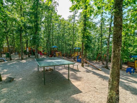 Chianti Glamping Resort - Camping Arezzo - Image N°8