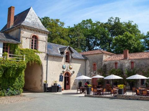 Camping Château de la Forêt - Camping Vendée - Image N°6