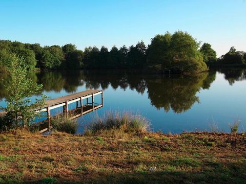Camping Château de la Forêt - Camping Vendée - Image N°12