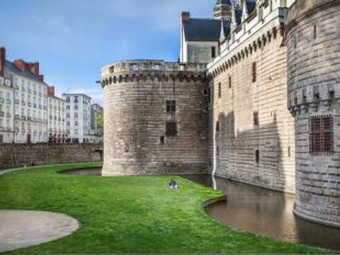 Camping Château de la Forêt - Camping Vendée - Image N°14