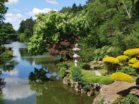 Les Hameaux des Epesses - Camping Vendée - Image N°21