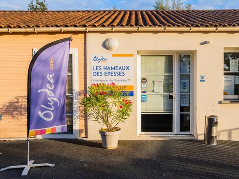 Les Hameaux des Epesses - Camping Vendée - Image N°4