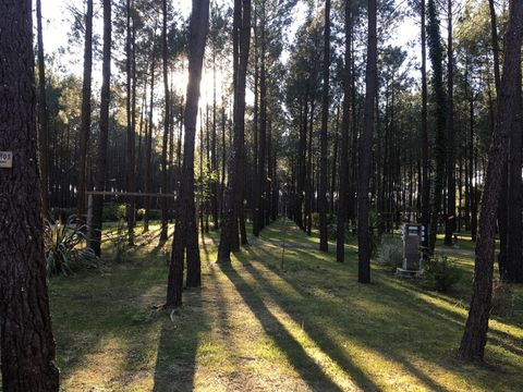 Camping L'Oceane - Camping Landes - Image N°45