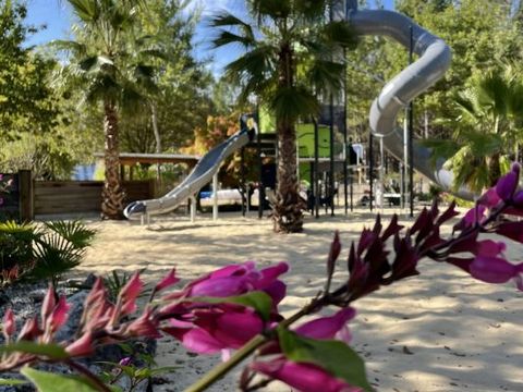 Camping L'Oceane - Camping Landes - Image N°16