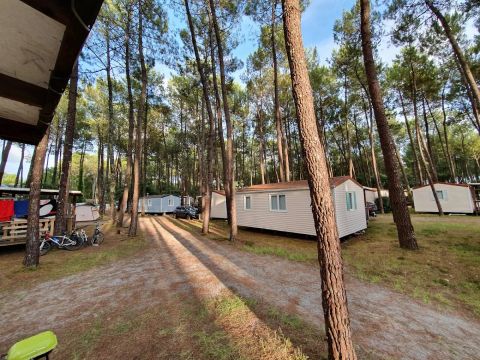 Camping L'Oceane - Camping Landes - Image N°9