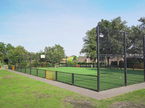 Camping de Schatberg - Camping Horst an der Maas - Image N°7