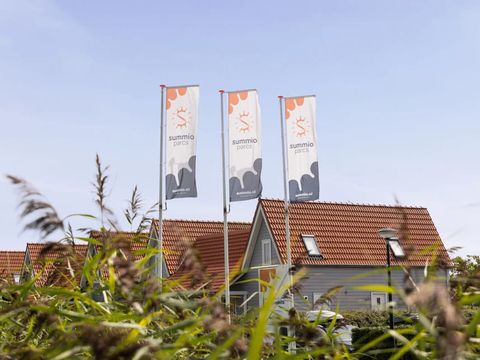 Summio Parc Aquadelta - Camping Schouwen-Duiveland - Image N°4