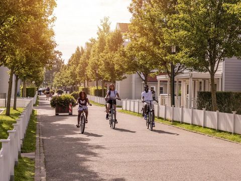 Summio Parc Aquadelta - Camping Schouwen-Duiveland - Image N°15