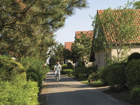 Roompot Kustpark Klein Poelland - Camping Renesse