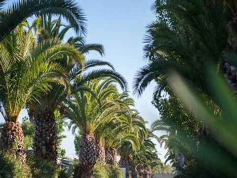 Tour Opérateur et particuliers sur camping La Carabasse - Fun Pass non inclus  - Camping Hérault - Image N°12