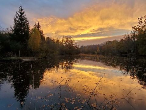 Camping Chez Jo et Mel - Camping Seine-et-Marne - Image N°2